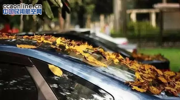 【友福汽车】车辆秋季养护做好这10个重点