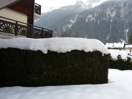 第一天的兴奋难以抑制 第一天的兴奋难以抑制