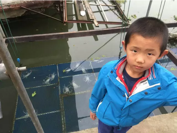 4岁招风小童子首次参赛大帆船记