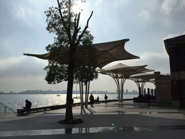 4岁招风小童子首次参赛大帆船记