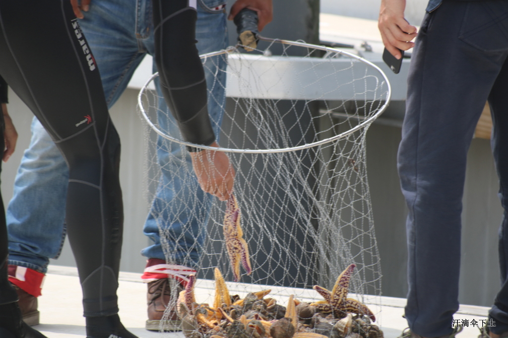 2016中韩帆船拉力赛——码头娱乐