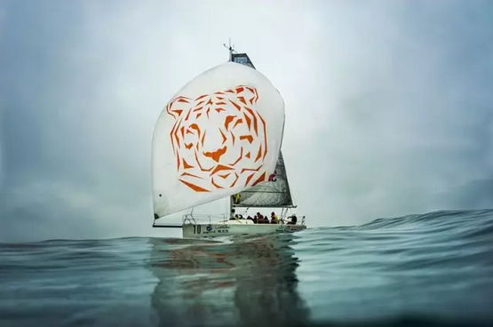 三亚游牧虎帆船队:猛虎来袭,请围观!