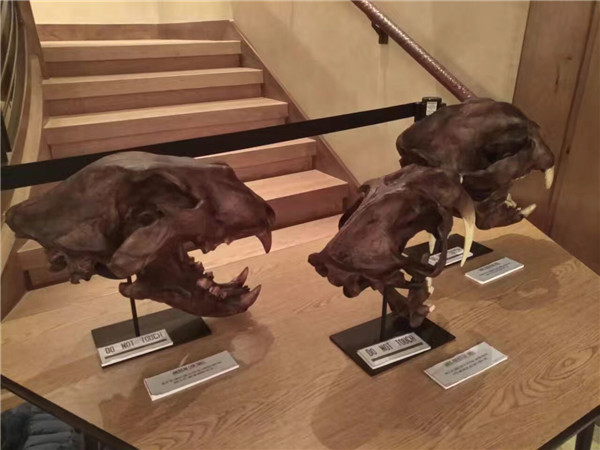 寻找六年前的雪印,重回美国阿斯本滑雪体验之D3