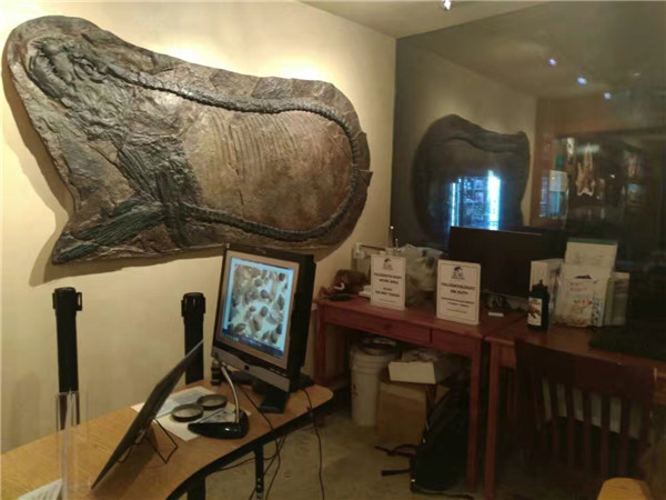 寻找六年前的雪印,重回美国阿斯本滑雪体验之D3