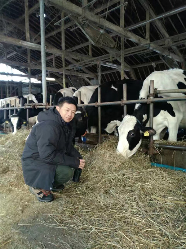 汗滴伞下土安比高原和下仓的滑雪体验D5