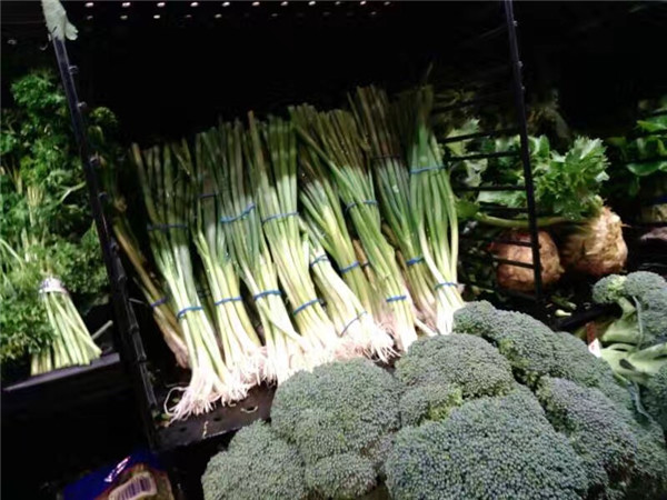 汗滴春节阿斯本畅滑之旅D2