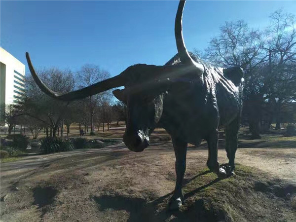 汗滴春节阿斯本畅滑之旅D2