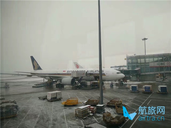 汗滴应邀参加瑞士滑雪行(上)