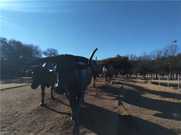 汗滴春节阿斯本畅滑之旅D2