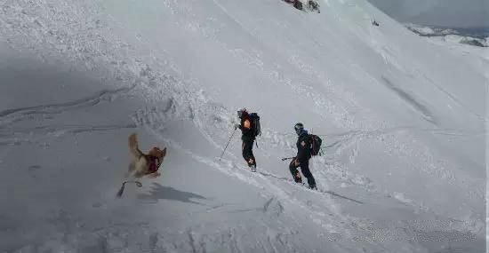 不是选装备，也不是查攻略，出来滑雪最应该注意的首要问题竟是它！