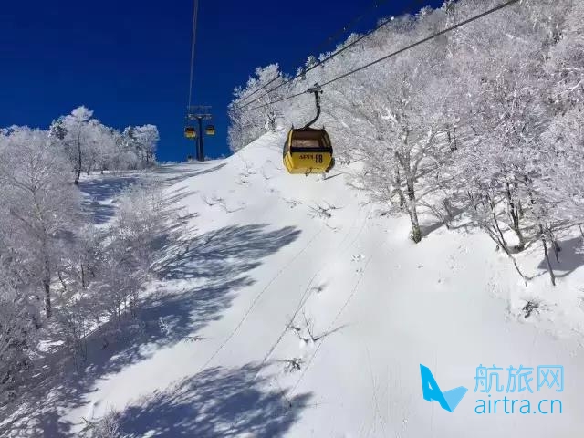 日本安比高原、青森八甲田滑雪6晚7天滑雪行程