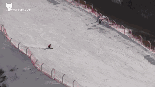 王晓飞滑雪教学——EASY SKI(5)双板滑雪基础理论框架