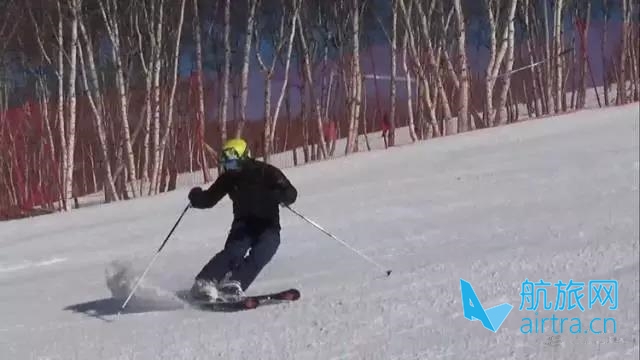 王晓飞滑雪教学——EASY SKI（9）冰球刹