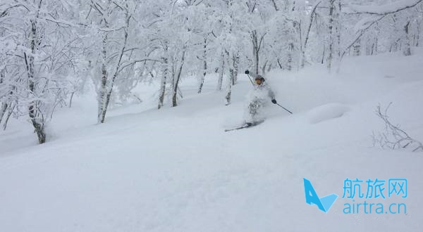 王晓飞滑雪教学——EASY SKI(18)双板综合运用【3】粉雪