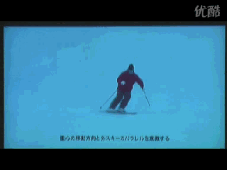 野雪秘籍(中)