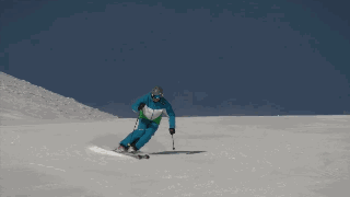 野雪秘籍(中)
