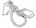 绳结之王-Bowline