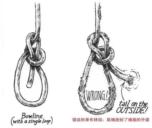 绳结之王-Bowline