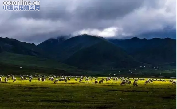 7月的青藏高原实在太美了！不信，您看看