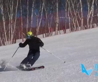 王晓飞滑雪教学——EASY SKI(9)冰球刹
