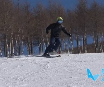 王晓飞滑雪教学——EASY SKI(10)单脚内刃转弯