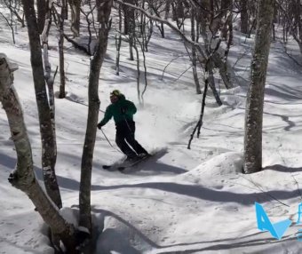 王晓飞滑雪教学——EASY SKI(17)双板综合运用【2】树林