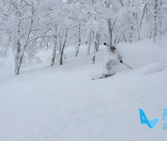王晓飞滑雪教学——EASY SKI（18）双板综合运用【3】粉雪