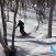 王晓飞滑雪教学——EASY SKI（17）双板综合运用【2】树林