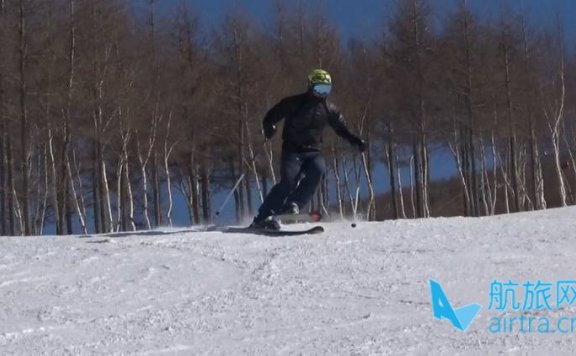 王晓飞滑雪教学——EASY SKI（10）单脚内刃转弯