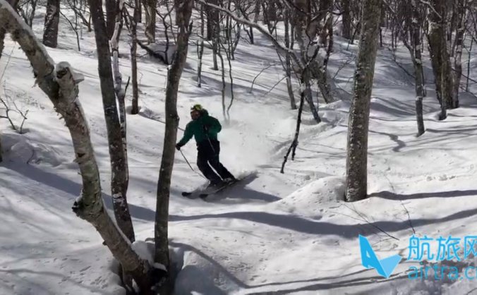 王晓飞滑雪教学——EASY SKI(17)双板综合运用【2】树林