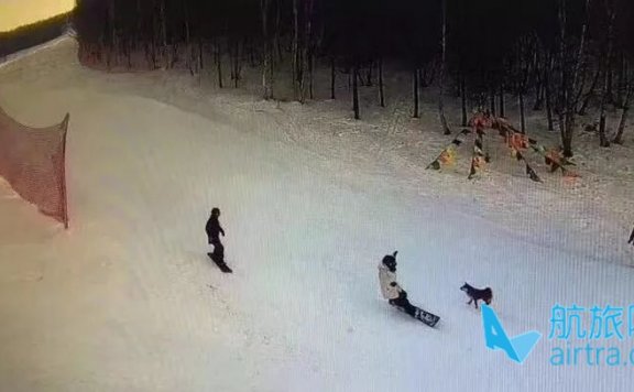 竟然有人在雪道上遛起了狗，引发了事故，还逃逸？！